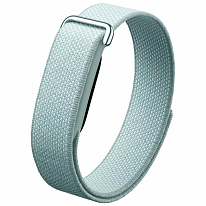 Google Fitbit Air Fog «мятный»